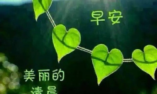 脱敏糊剂是牙膏吗-脱敏糊剂的副作用网- 脱敏糊剂牙膏多少钱知识,分享脱敏糊剂华西牙膏一般用多久